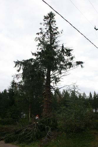 Seuraava
