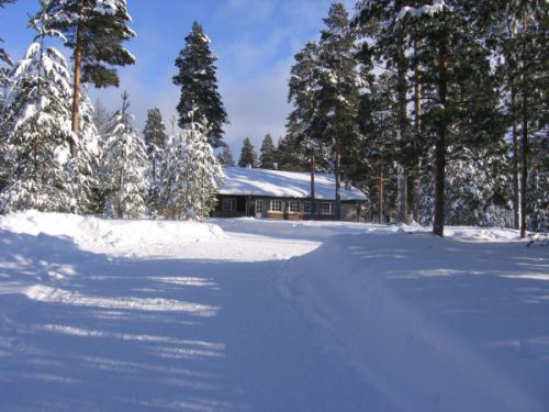 Seuraava