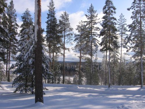 Alkuun