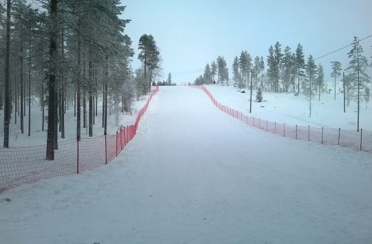 Maakunnan paras pulkkamäki Harsunkankaalla (Kuva: Jukka Mäkelä)