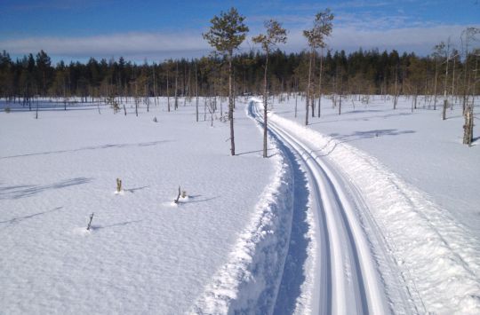 Tän päivän latutilanne