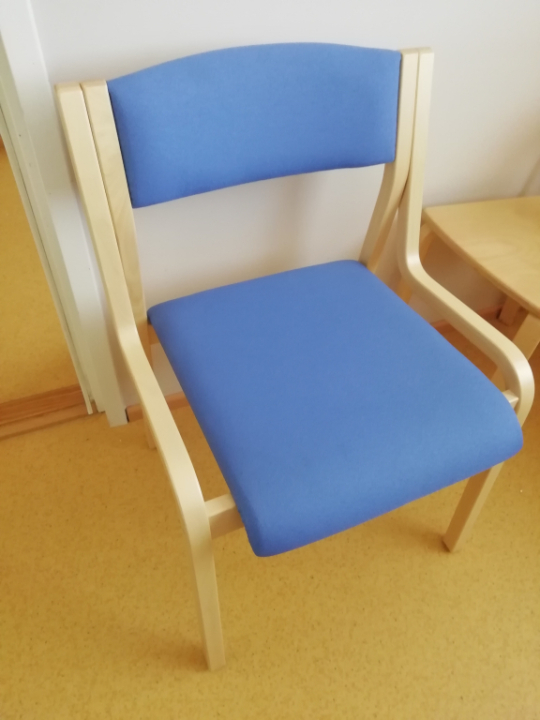 Selkänojallinen tuoli (2 kpl)