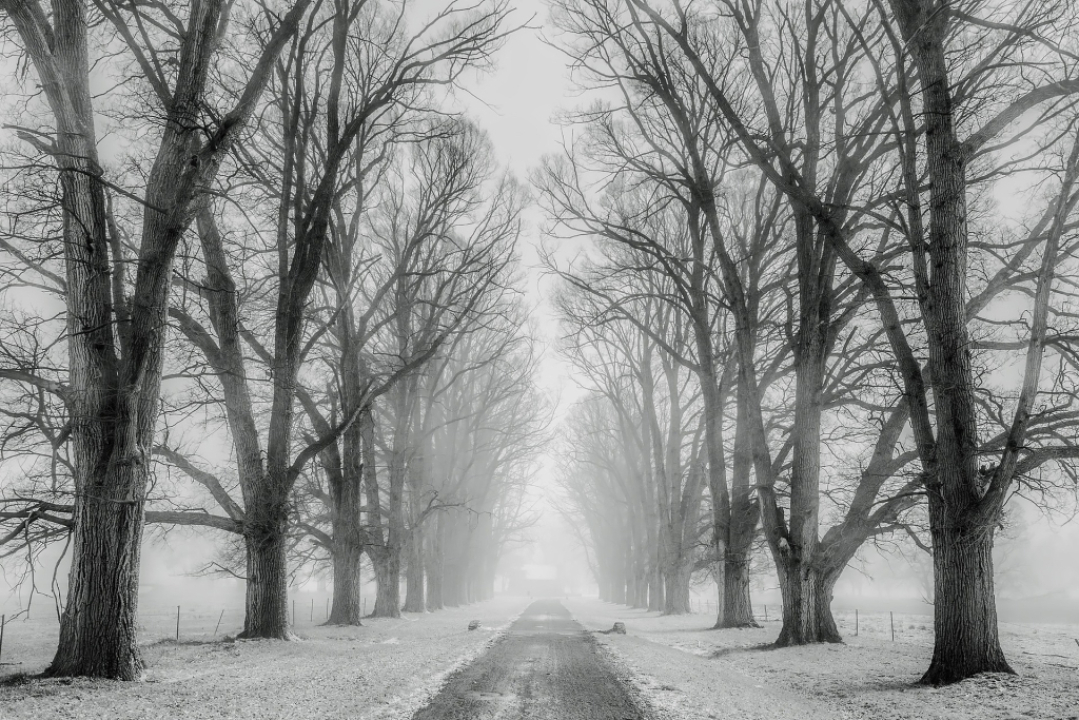 Luminen tie.