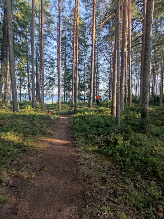 Siistiä tulee.