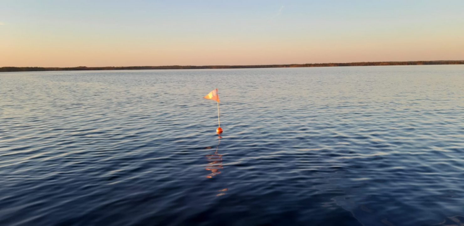 Poijut Järvellä.