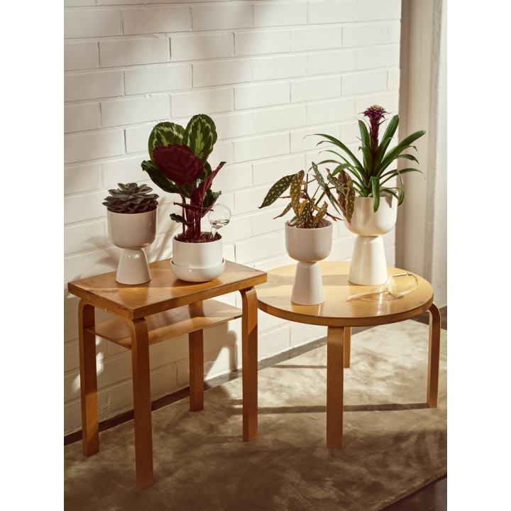 nappula rukkaruukkuja eri kokoisena