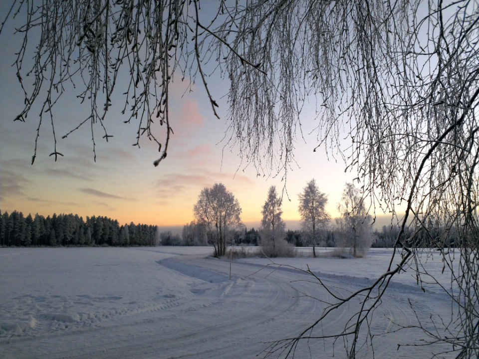 Tapaninpäivän tilaisuus 26.12 klo 11