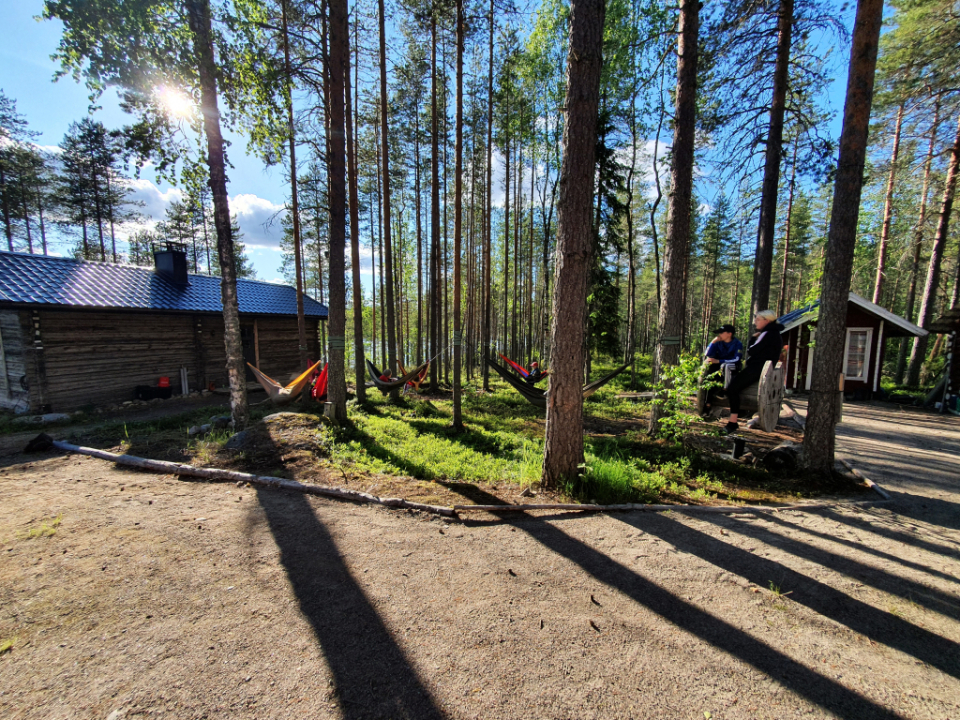 Aurinkoinen metsämaisema. Puissa on riippumattoja.