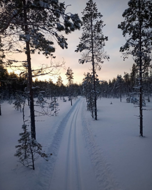 Näkymä ladulta