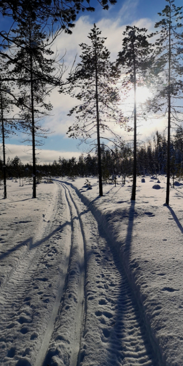 Valoa riittää! :)