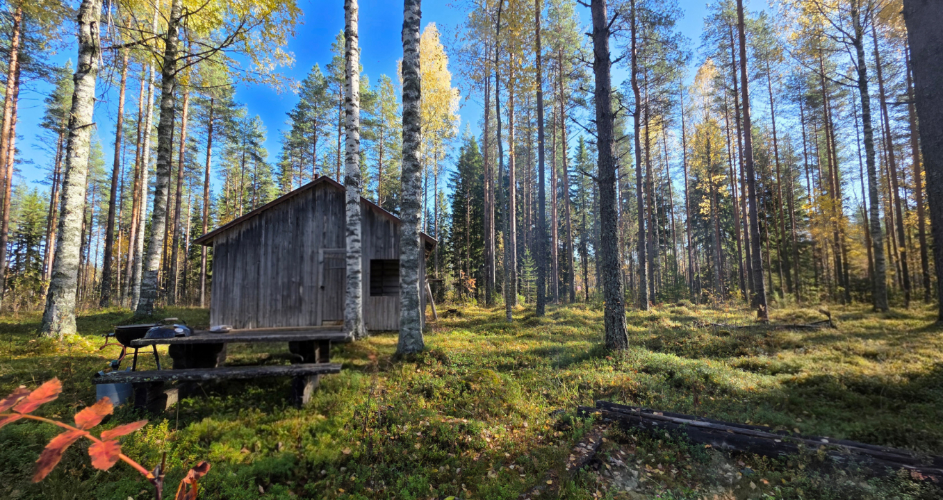 Metsolan kämppä