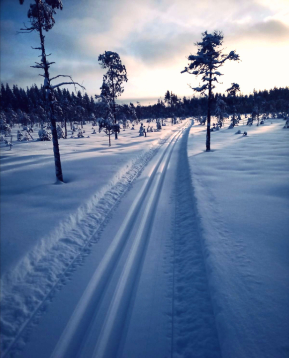 Latureitiltä