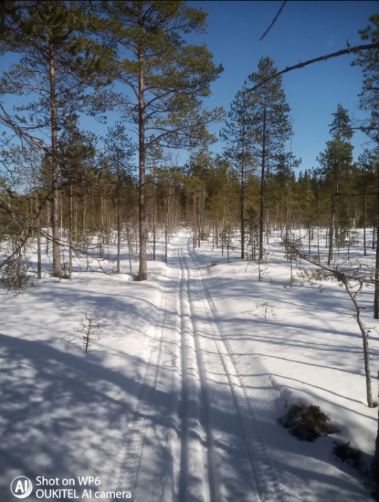 Reitin varrelta