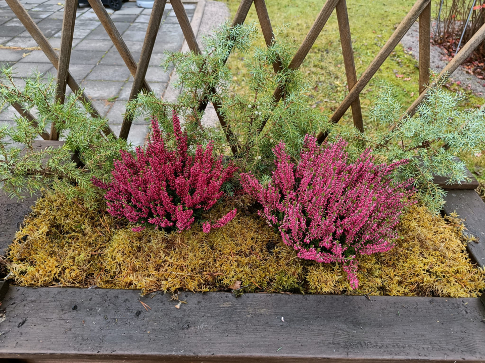 Ihanaa syksyä kaikille.