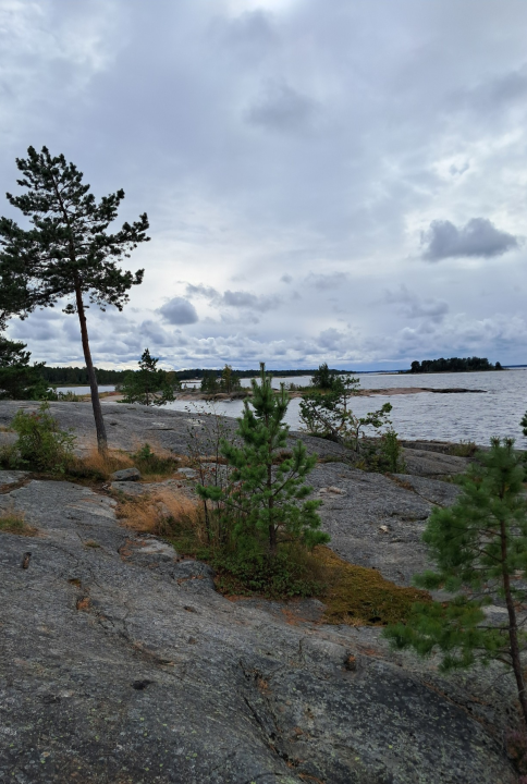 Fäboda