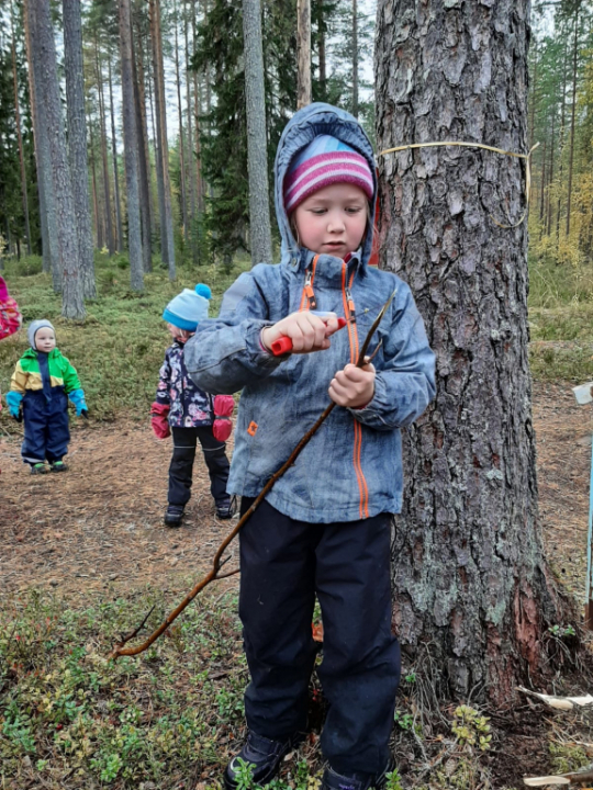 makkaratikun vuoleminen