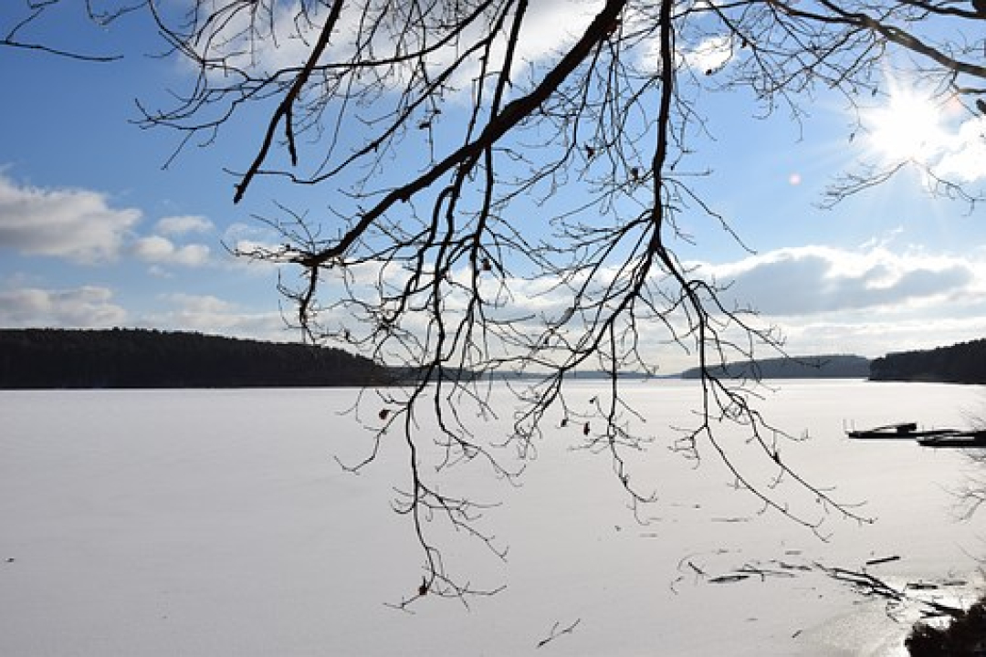 järvi