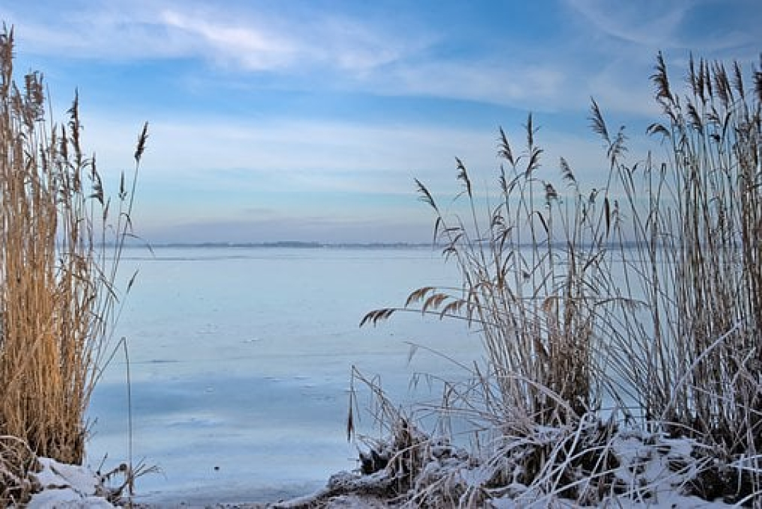 järvi