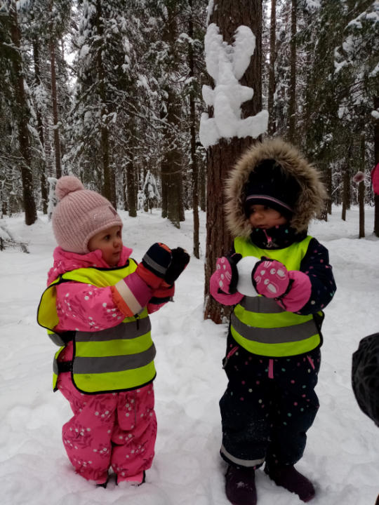 Metsästä löytyi pingviinin munia