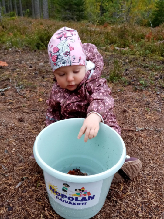 Ämpäriin saattoi päätyä muutakin kuin käpyjä!