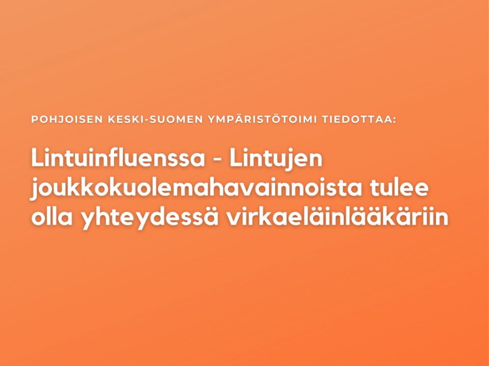 Lintuinfluenssa - Lintujen joukkokuolemahavainnoista tulee olla yhteydessä virkaeläinlääkäriin