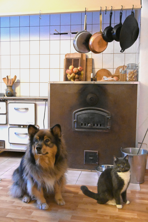 Talon asukkaita ovat myös Karri-koira ja Seppo-kissa.