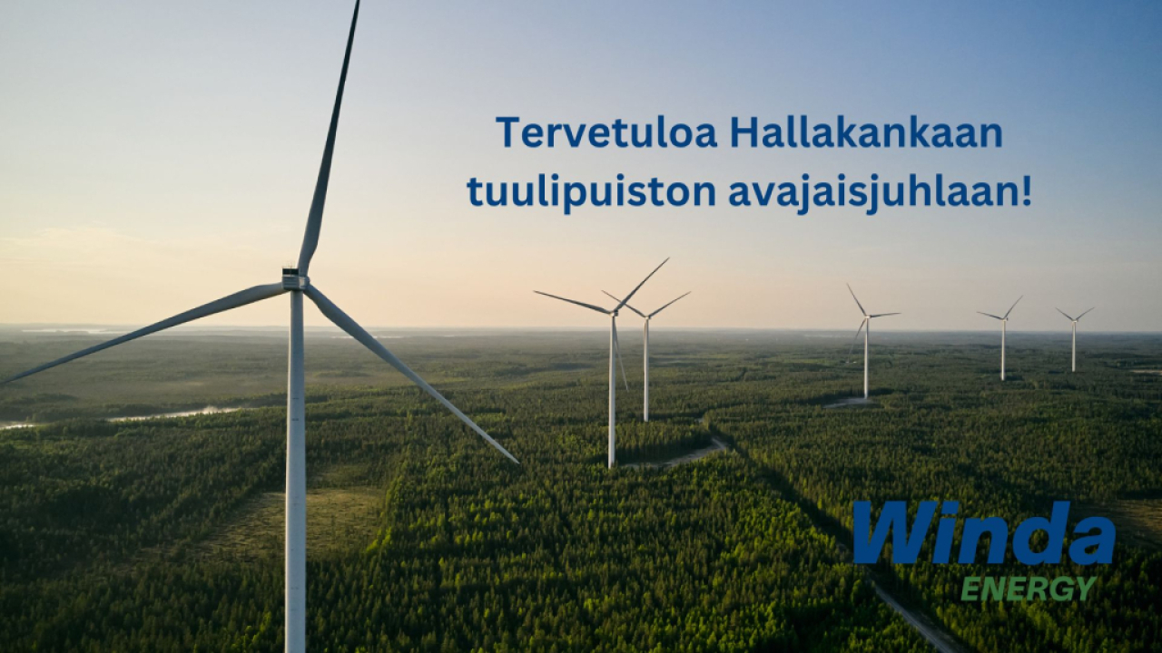 Hallakankaan tuulipuisto.