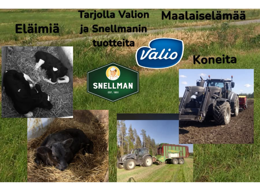 Maatilapäivän tarjontaa.