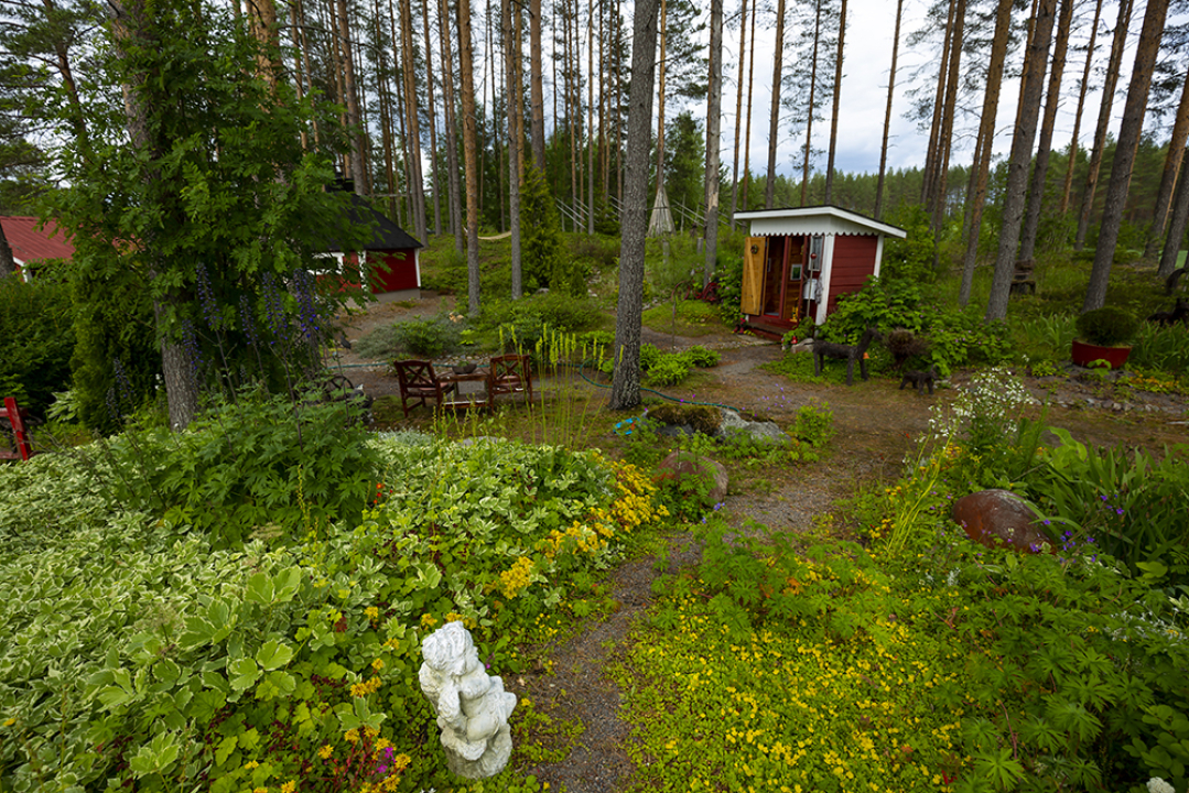 Onnelan puutarha Huumarkankaan pihakuva.