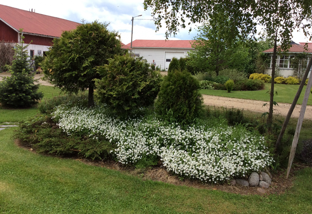 valtakunnallinen puutarhapäivä