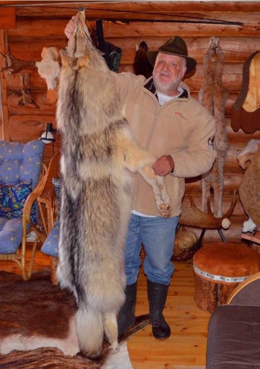  Ammuttu Jakutissa, Siperiassa, pituus kuonosta hännän päähän 210 senttiä ja paino yli 70 kiloa.