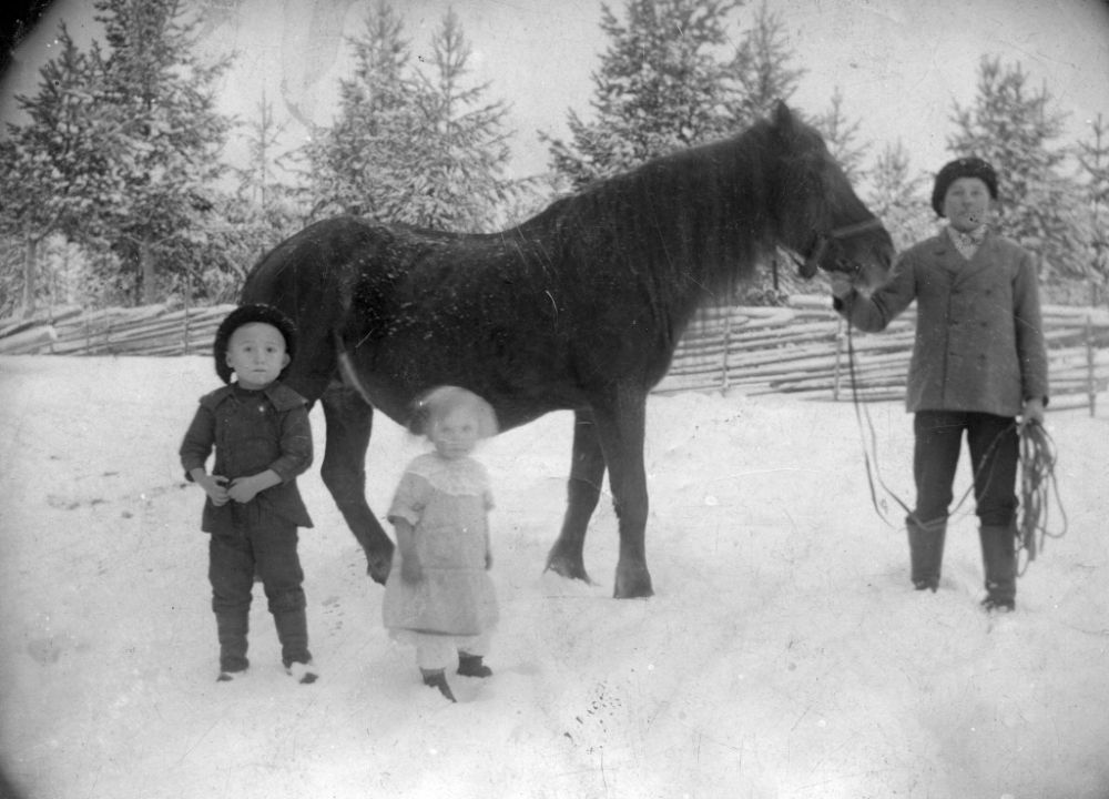 Vieno ja isoveli Vilho Kotka, hevosta pitelemässä lasten setä Emil Kotka, joka lähti Amerikkaan vuonna 1922. Kuva vuojelta 1915.