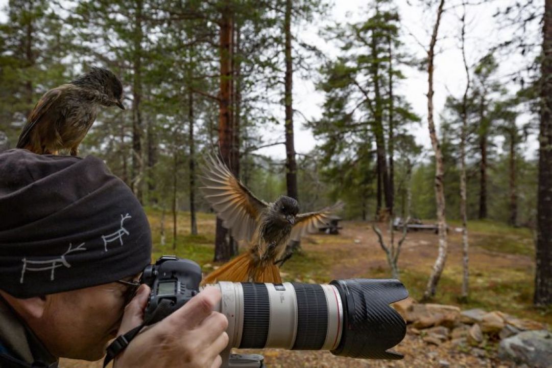 Esa kuukkelia kuvaamassa lapissa