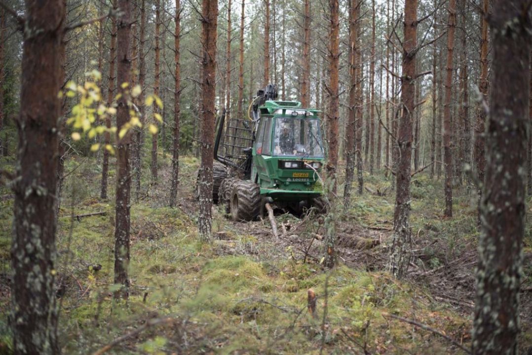 Tietä vetelään suohon