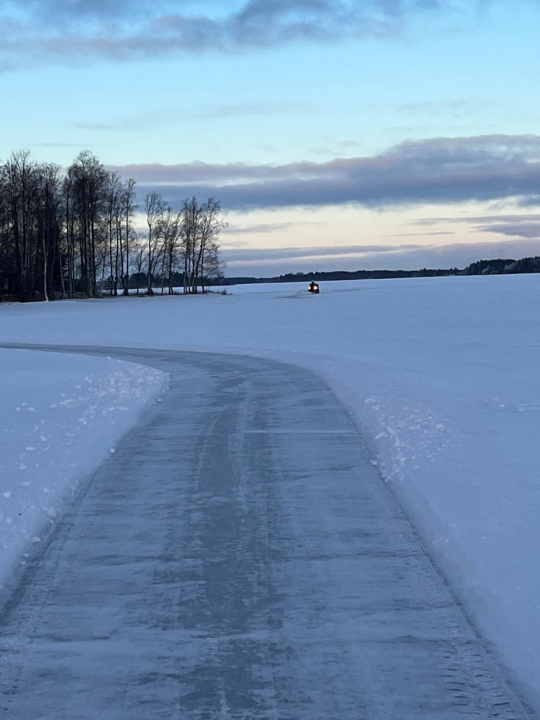 Kuva 12.1. Jari Lautanen