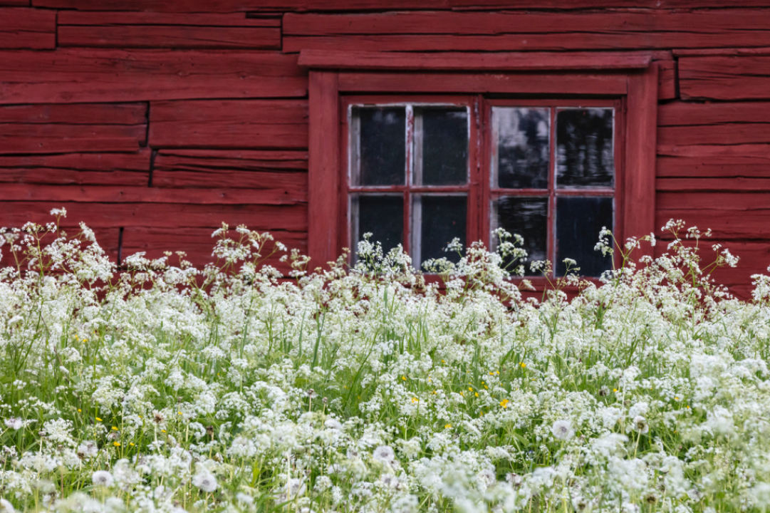 Ikkuna menneisyyteen