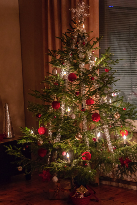 Joulupuu on rakennettu