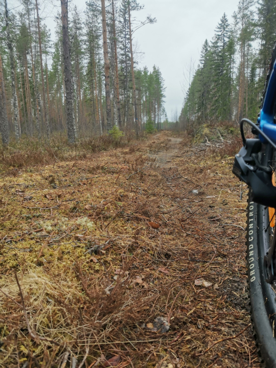 Heikin mutkan jälkeen suoraa 