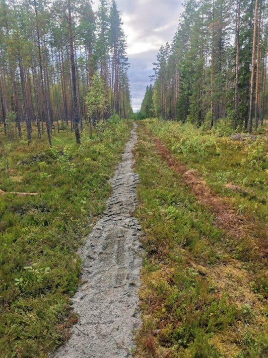 Kuva otettu 2.9. Harsunkangas-Oikari -reitiltä. Kuvaaja: Tanja Kyrönlahti