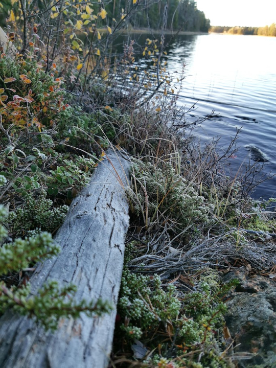 Lammenranta - luonnon oma rauhoittaja