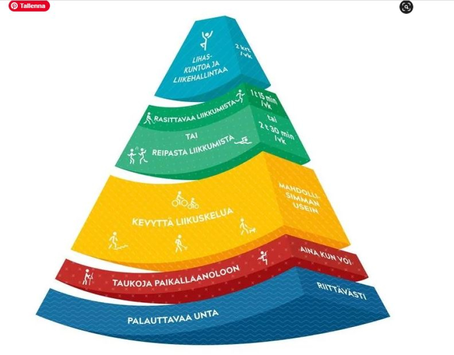 liikuntapiirakka