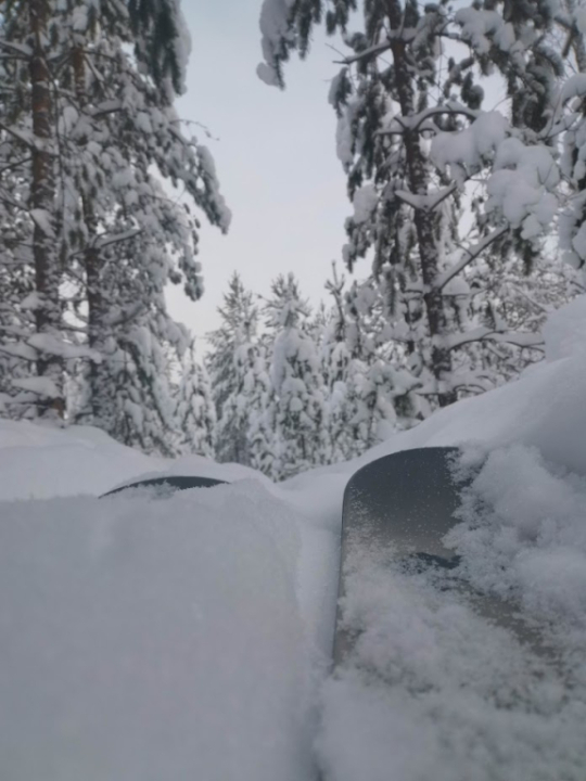 talvimaisemaa liukulumisuksilla