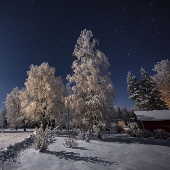 Talvikuva Ohramäestä