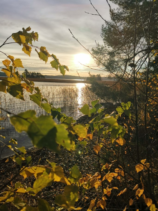 Veden ääni, pehmeä tuuli ja luonnon värit auttavat laskemaan stressitasoja ja palauttamaan mielen tasapainon.