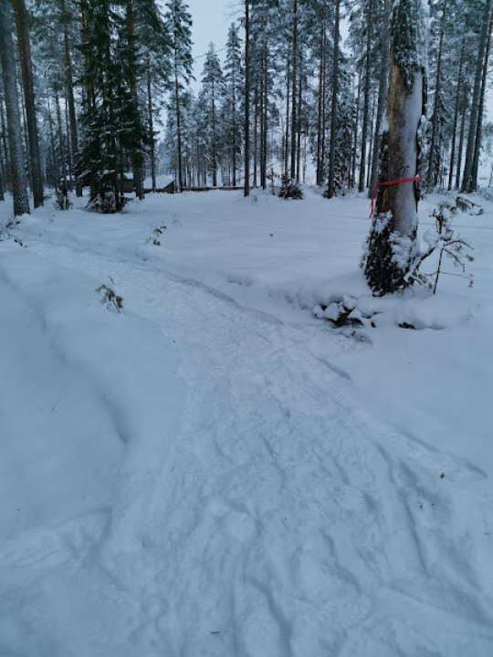 talvipolku