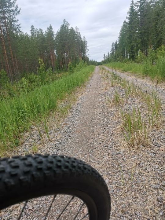 Kesäisin ajetaan polkuja ja reittejä