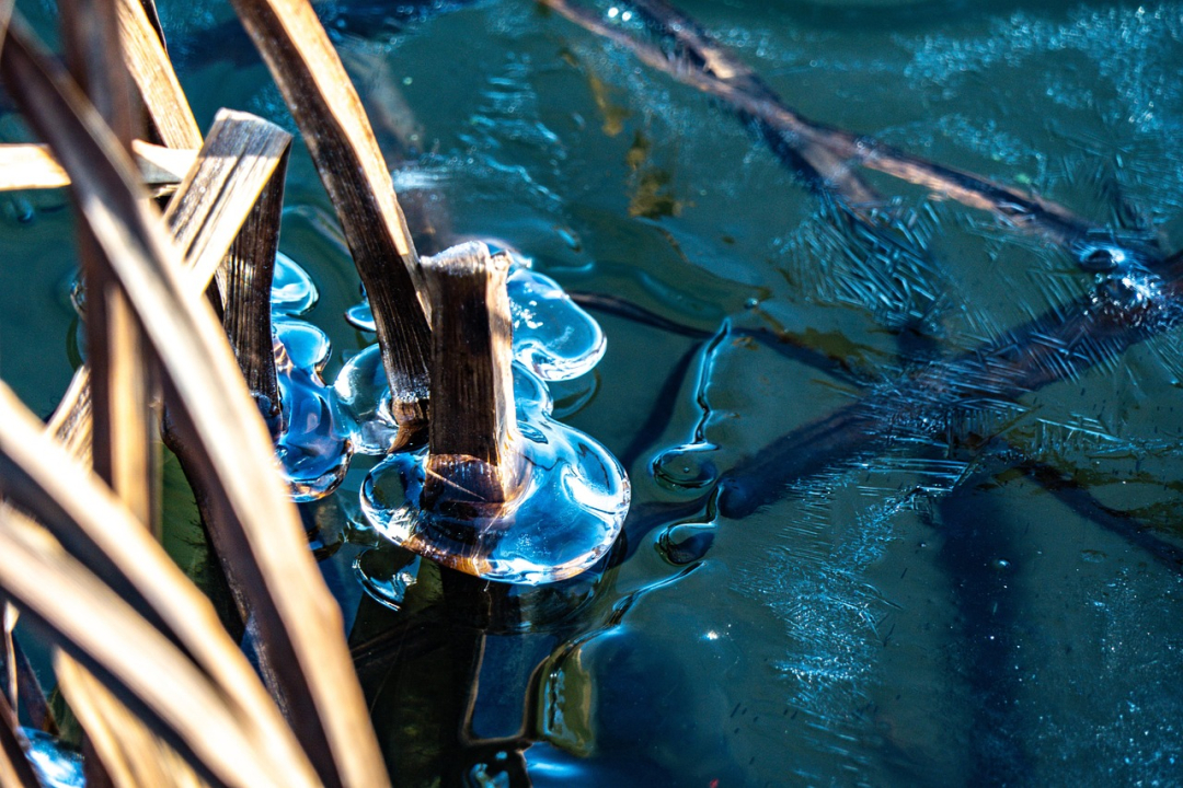 Veden lämpötilan tulee olla 10 astetta tai sitä alempi, jotta voidaan puhua talviuinnista