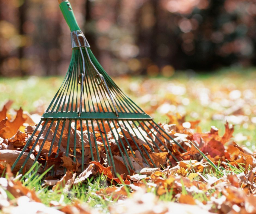 harava ja syksyn lehtiä