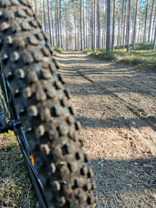 Yhdessä pyöräillen kohti kevättä – tärkeintä on matka, ei vauhti.