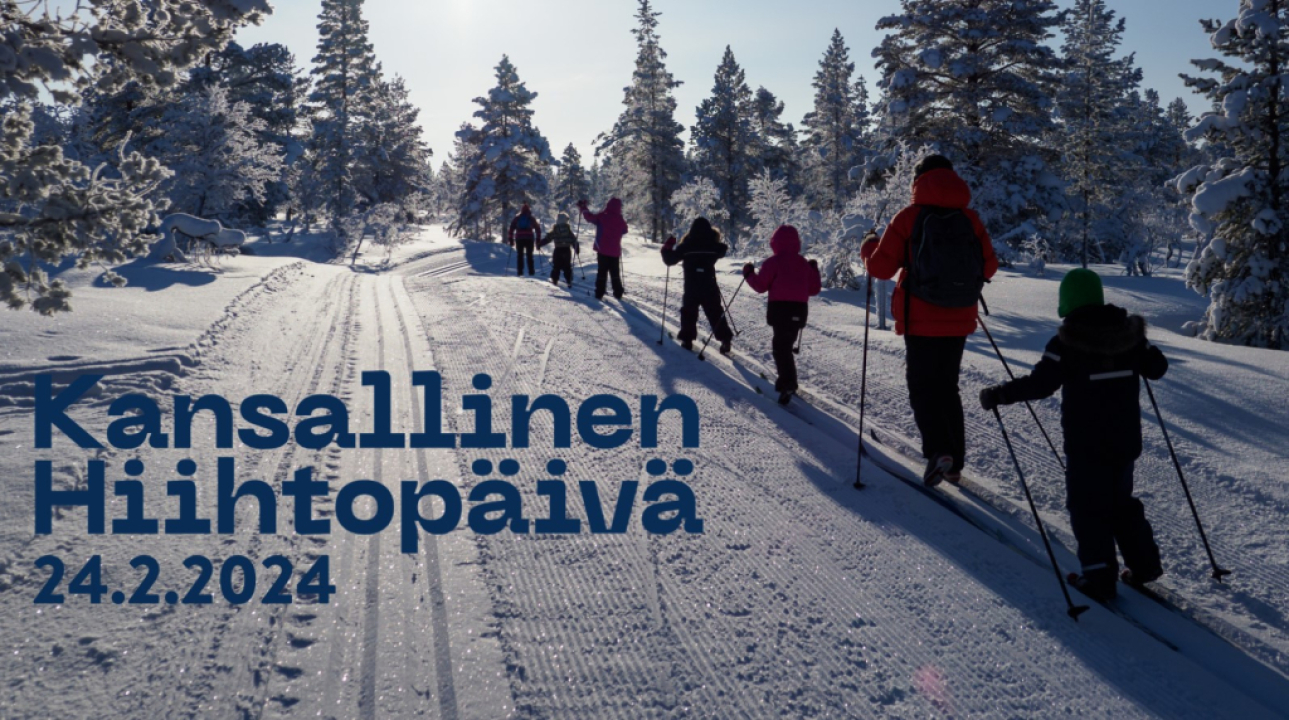 monta hiihtäjää ladulla